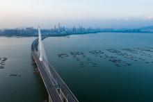 shenzhen bay bridge