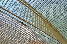 Screening for PPP Potential, train station ceiling, roof structure