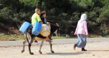 Other Mechanisms Supporting Pro-Poor Service Delivery  - donkey carrying water