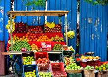 PPPs for Public Markets  Malls and Slaughter Houses/Abattoirs: Fruit Stall