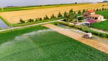 PPPs in Irrigation: Farm Irrigation