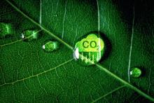 Objective of these Guidelines: Project Preparation, o2 reducing icon on green leaf with water droplet for decrease co2 