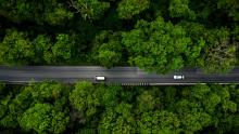 Photo forest road, aerial view over tropical tree forest with a road going through 