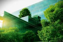 Photo sustainble green building ecofriendly building sustainable glass office building with tree